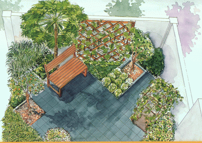 Modern-Garden-11