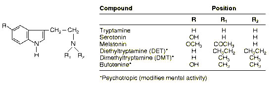 Serotonin Structure