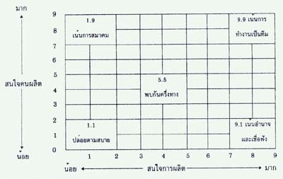 แนวตาข่ายการจัดการ