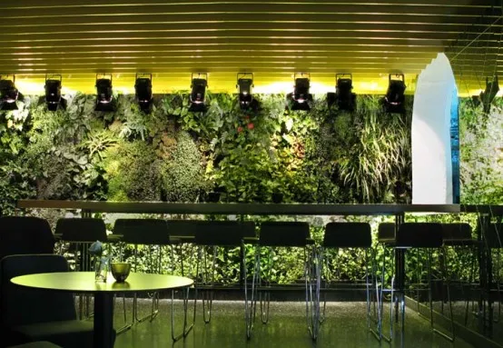 ไอเดียสวนติดผนังตกแต่งในบ้าน