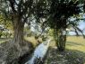 ขายที่ดินแปลงสวยในโครงการติดถนนหลวง108ติดลำเหมืองน้ำไฟพร้อม
