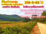 ขายที่ดินเชียงราย ตรงข้ามคิงโรมัน 318-3-93ไร่ ใกล้สามเหลี่ยมทองคำ