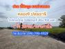 คลอง9 ธัญบุรีซต้นไม้ใหญ่ ใกล้ถนนใหญ่รังสิตนครนายก 900 เมตร 1 ไร่