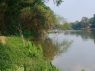 ขายที่ดินติดแม่น้ำแควน้อย เมืองกาญจนบุรี 24ไร่ หน้าน้ำกว้าง บรรยากาศวิวดีมาก