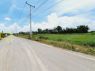 ขายที่ดินหนองเสือ คลอง11ขนาด 200 ตรว ติดถนนลาดยาง น้ำไฟครบ เหมาะสร้างบ้าน ทำเกษต