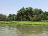 ขายที่ดิน 3 ไร่ ติดริมน้ำ บางน้ำผึ้ง สมุทรปราการ สวยมาก เจ้าของขายเอง