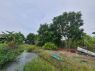 ขาย ที่ดิน ราคาถูก ไทรน้อย หนองเพรางาย 300 ตรวา เหมาะทำสวนเกษตร